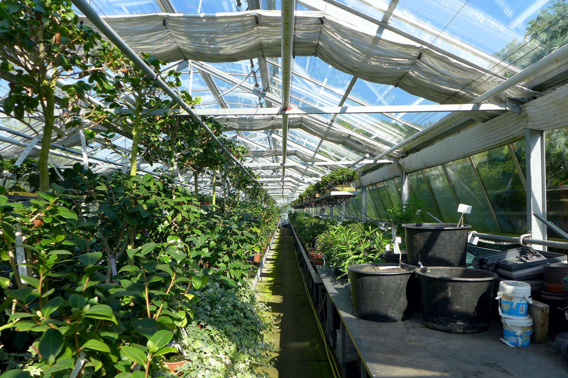 Serre e Coperture
